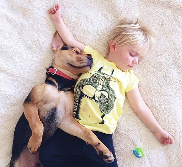 Thêm những hình ảnh ngủ với cún siêu yêu của cậu bé Beau 16