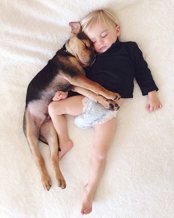 Thêm những hình ảnh ngủ với cún siêu yêu của cậu bé Beau 18