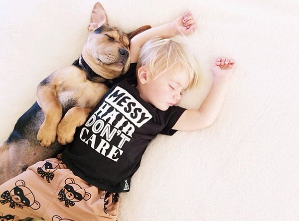 Thêm những hình ảnh ngủ với cún siêu yêu của cậu bé Beau 20