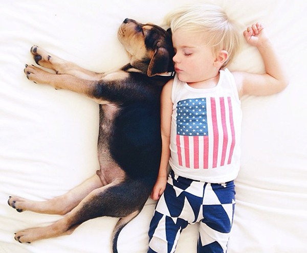 Thêm những hình ảnh ngủ với cún siêu yêu của cậu bé Beau 21