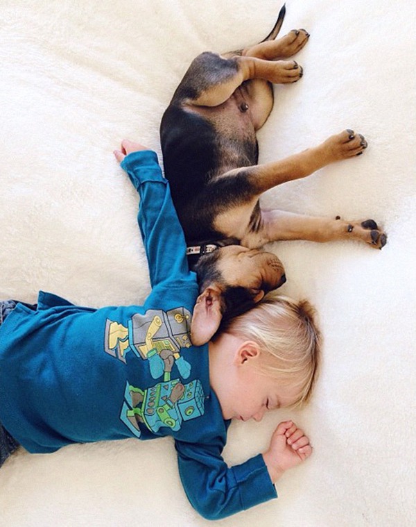 Thêm những hình ảnh ngủ với cún siêu yêu của cậu bé Beau 22