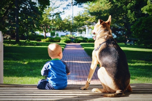 Ngẩn ngơ với những thước ảnh siêu yêu của cậu bé và cún cưng 18 Ngẩn ngơ với những thước ảnh siêu yêu của cậu bé và cún cưng 18