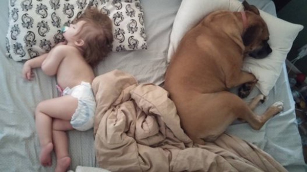 Những bức ảnh về tình bạn giữa bé và thú cưng khiến trái tim 