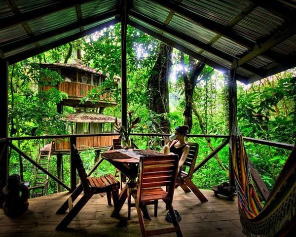 Đắm mình vào thiên nhiên trong ngôi nhà trên cây tuyệt đẹp 7 Đắm mình vào thiên nhiên trong ngôi nhà trên cây tuyệt đẹp 7