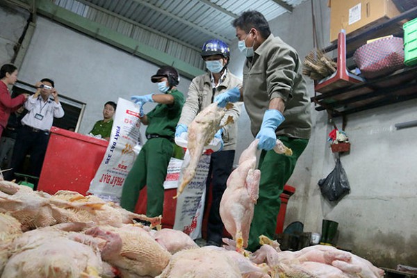 thực phẩm bẩn 2 thực phẩm bẩn 2