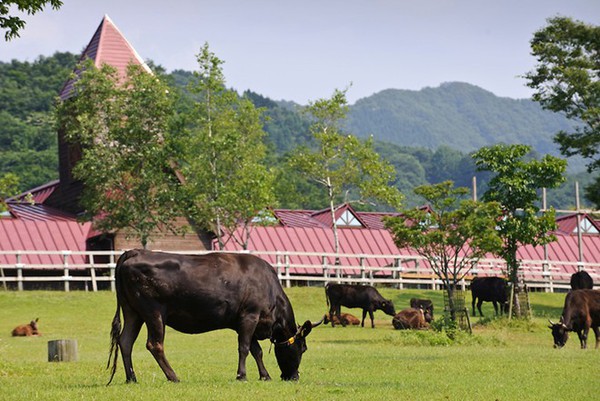 trang trại