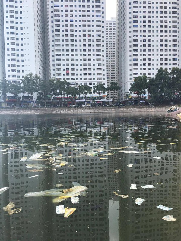 bao cao su bao cao su