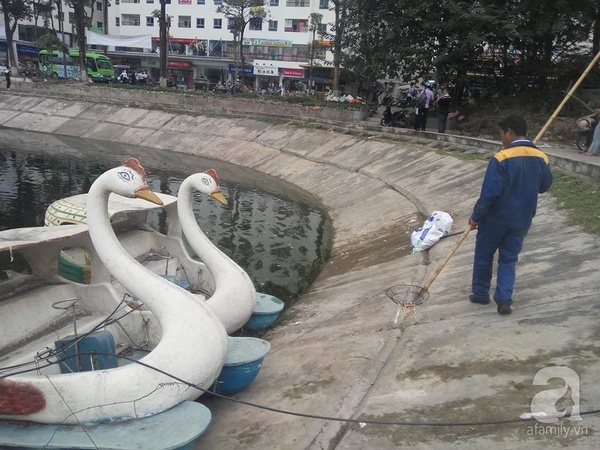 vớt ra vớt ra