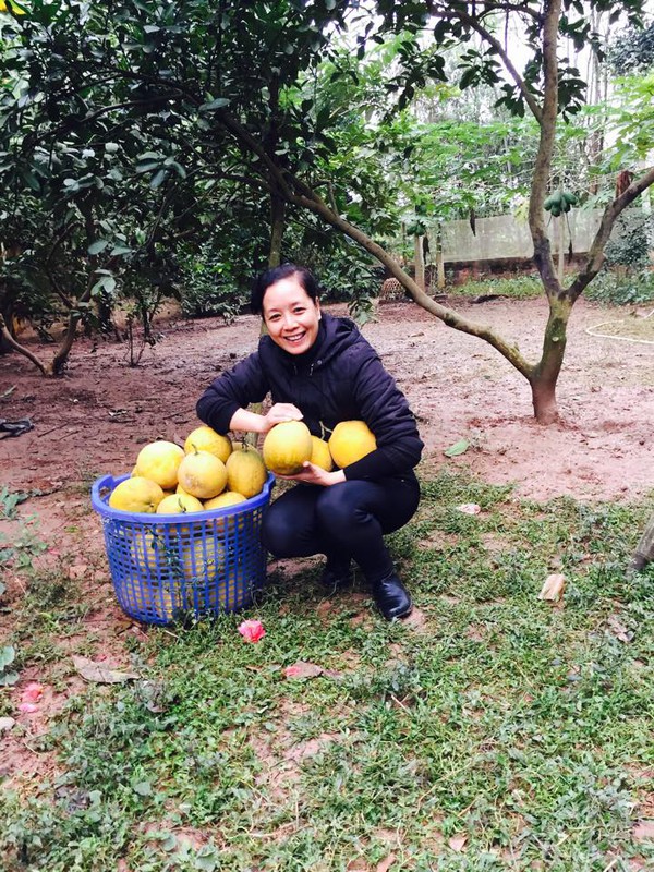 chiều xu&acirc;n