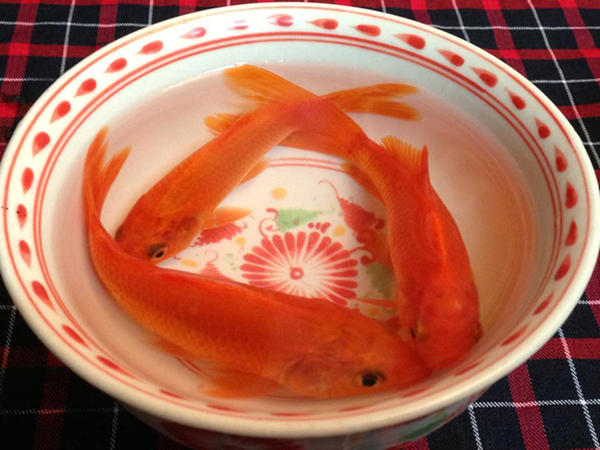 Mẹo hay cho Tết