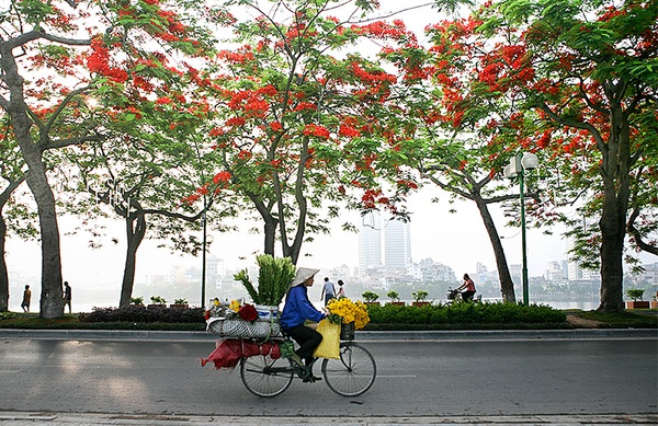 Bộ ảnh tuyệt đẹp về 