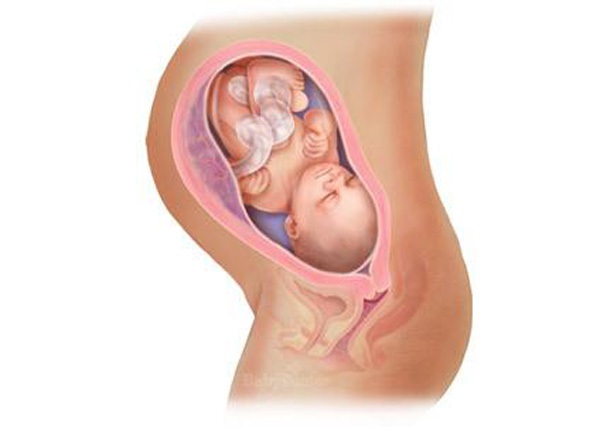 Sự phát triển của thai nhi trong bụng mẹ từ đầu đến cuối 32