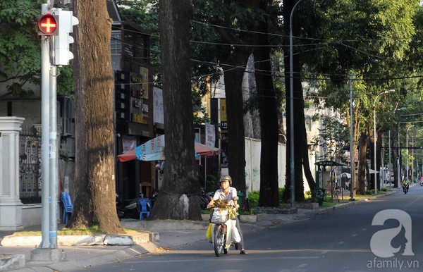 saigonvangve saigonvangve