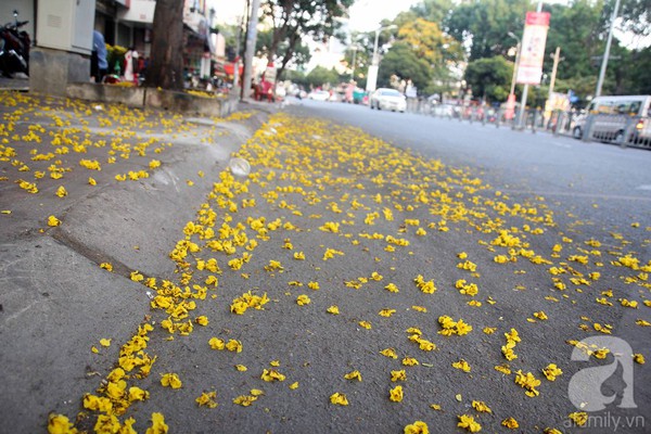 saigonvangve saigonvangve