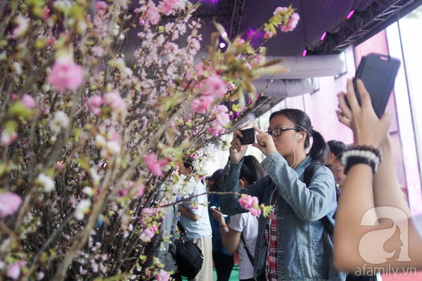 hoanhadao11 hoanhadao11