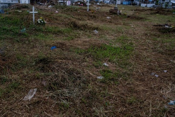 Sự sống hồi sinh ở thành phố Tacloban một năm sau siêu bão Haiyan 16
