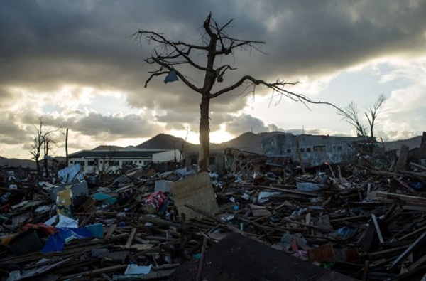 Sự sống hồi sinh ở thành phố Tacloban một năm sau siêu bão Haiyan 7