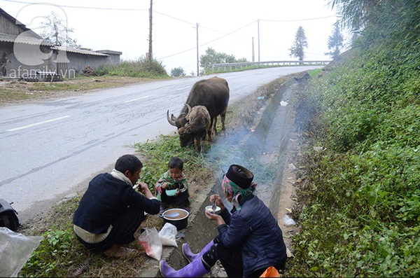 Người dân Sa Pa ăn ngủ tại lán bảo vệ trâu trong rét buốt 11