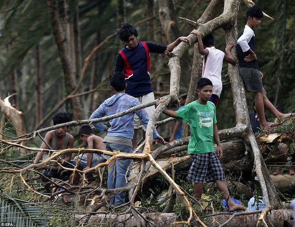 Khung cảnh hoang tàn ở những nơi siêu bão Hagupit quét qua 13