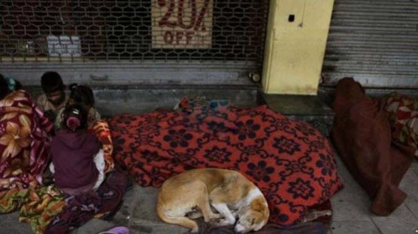 Ấn Độ giá rét, hơn 300 người thiệt mạng 1