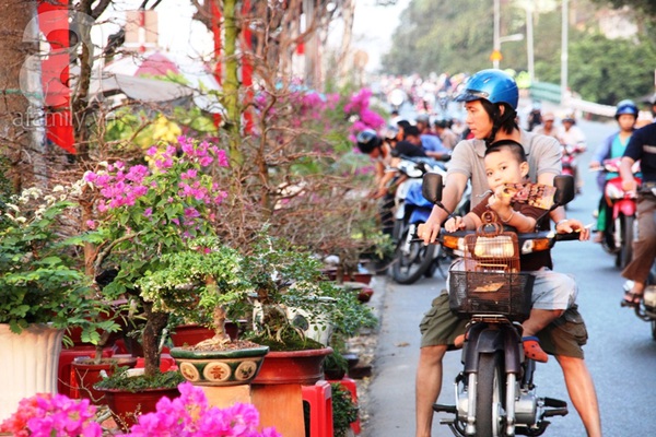 TPHCM: Chợ cây cảnh bên bến Bình Đông đã bắt đầu nhộn nhịp 2