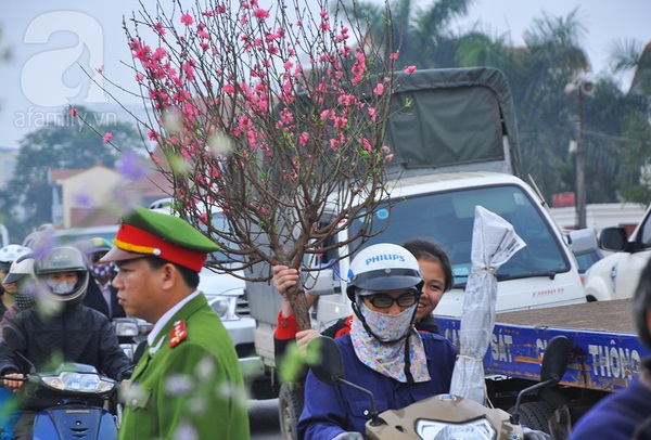 Hà Nội: Vội vàng bán tháo đào chiều 30 để kịp về ăn cơm tất niên 10