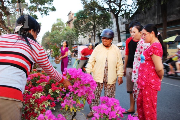 TPHCM: Chợ cây cảnh bên bến Bình Đông đã bắt đầu nhộn nhịp 17