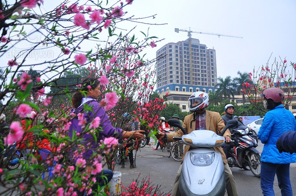 Hà Nội: Vội vàng bán tháo đào chiều 30 để kịp về ăn cơm tất niên 9 Hà Nội: Vội vàng bán tháo đào chiều 30 để kịp về ăn cơm tất niên 9