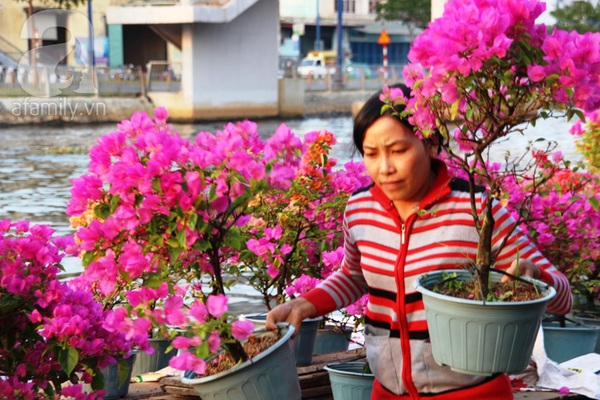 TPHCM: Chợ cây cảnh bên bến Bình Đông đã bắt đầu nhộn nhịp 8