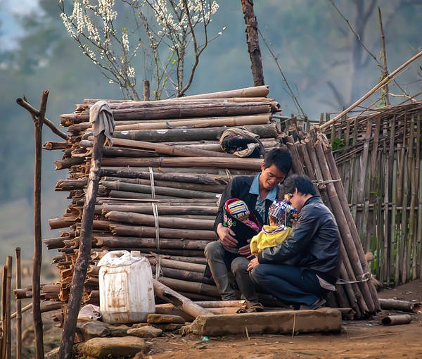 Ông bố Việt Nam 20