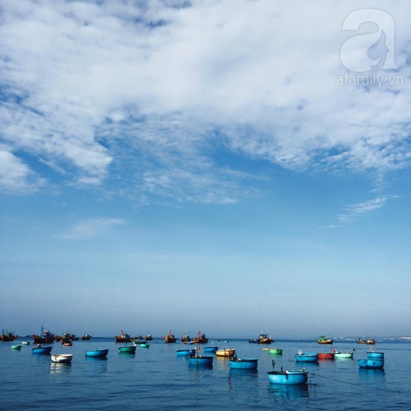 du lịch mũi né