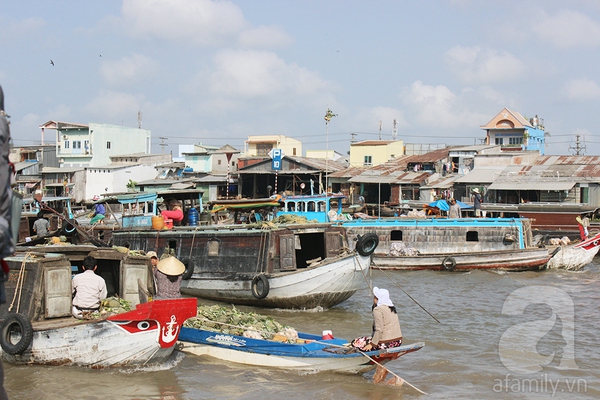 chọ chọ