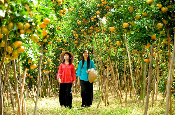miền tây miền tây