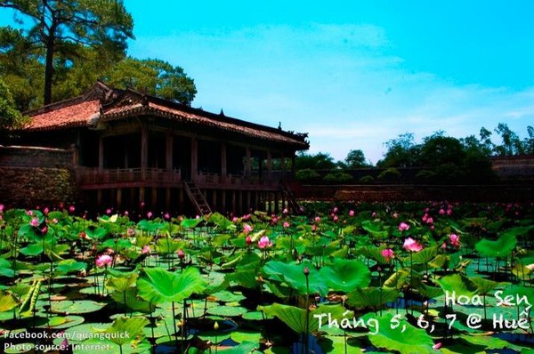 mùa hoa việt nam