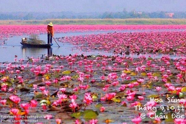 mùa hoa việt nam