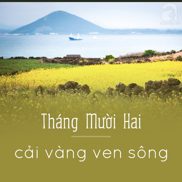 mùa hoa hà nội