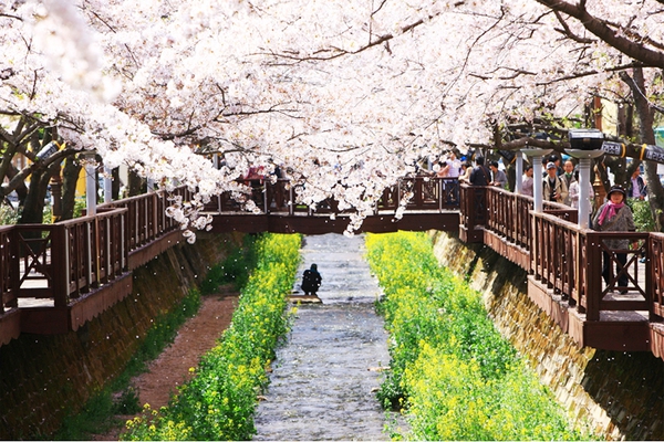 jinhae