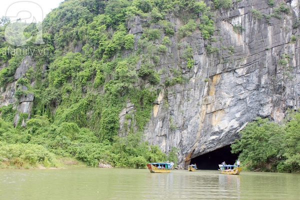 phong nha