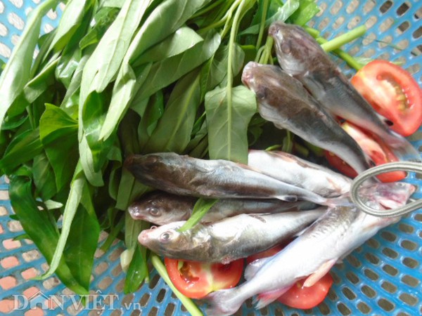canh chua