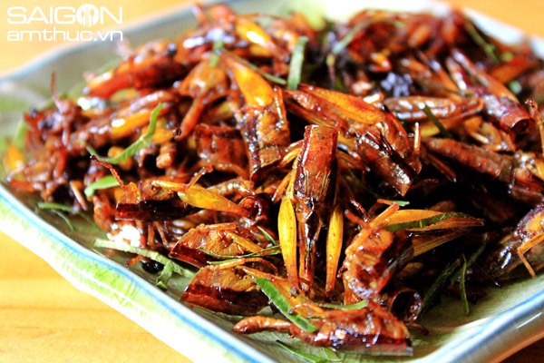 ch&acirc;u chấu