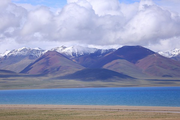 lhasa lhasa
