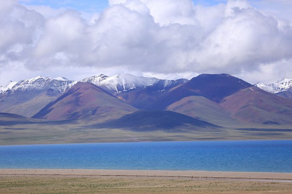 lhasa