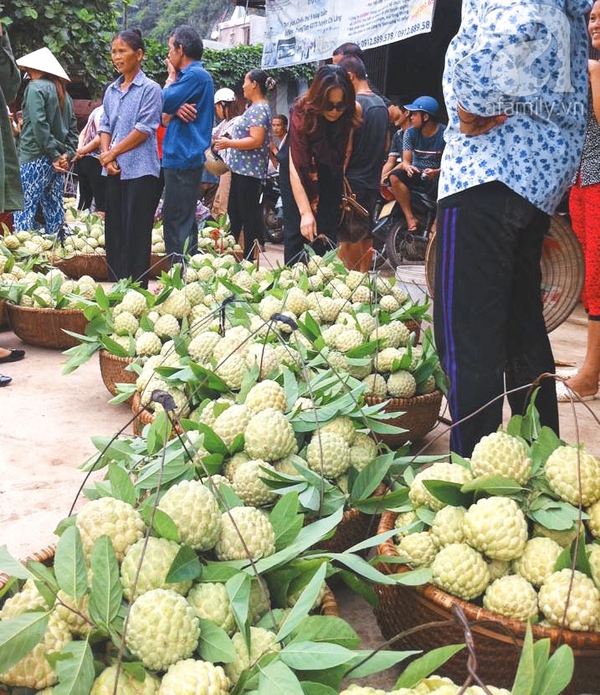 na đồng bành