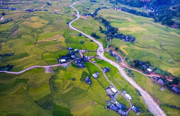 mù cang chải