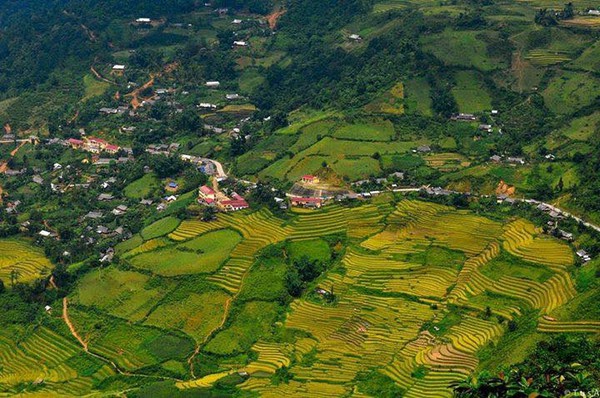 mù cang chải