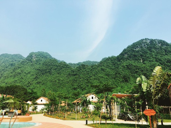 chày lập farm