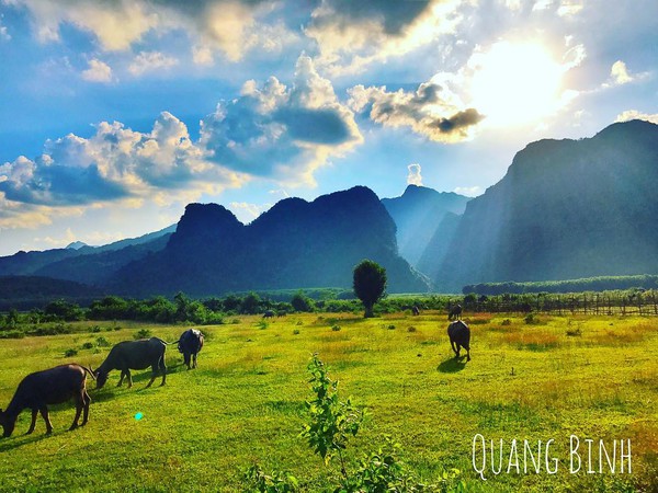 chày lập farm