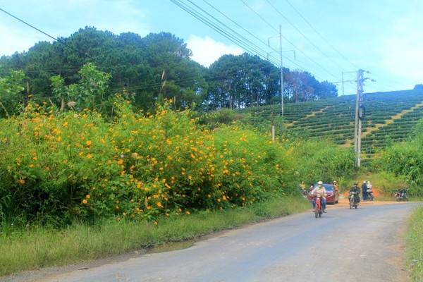 đà lạt