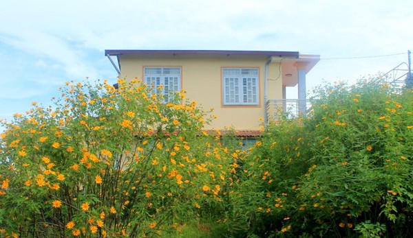 đ&agrave; lạt