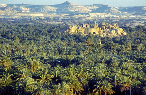 siwa